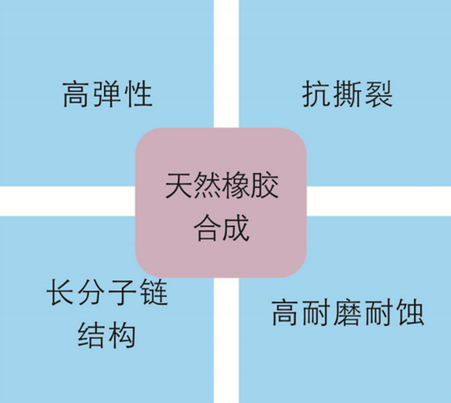 進(jìn)口結(jié)構(gòu)的膠管閥膠管特點(diǎn)