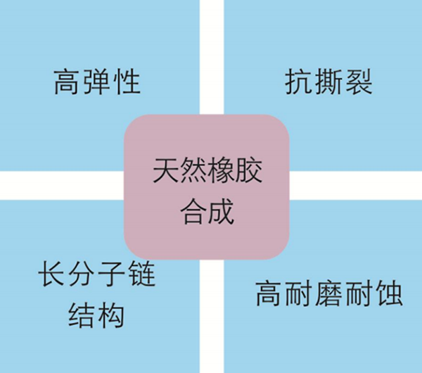 膠管特點(diǎn)